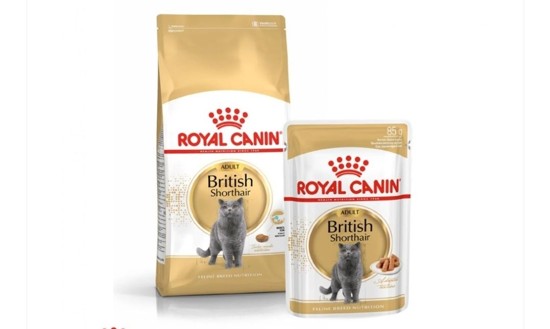 4кг Сухий корм для котів супер-преміум Royal Canin British Shorthair