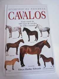 livro sobre cavalos