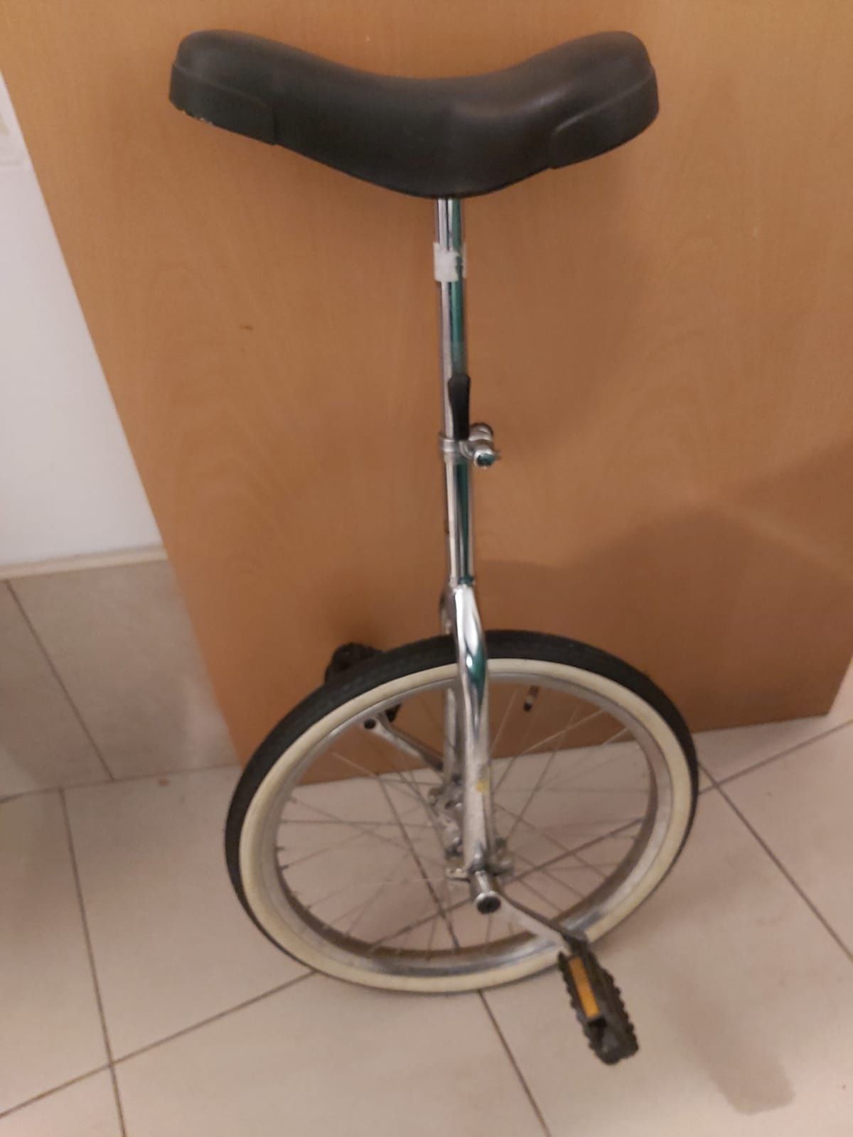 Rower monocykl (jednokolowiec)