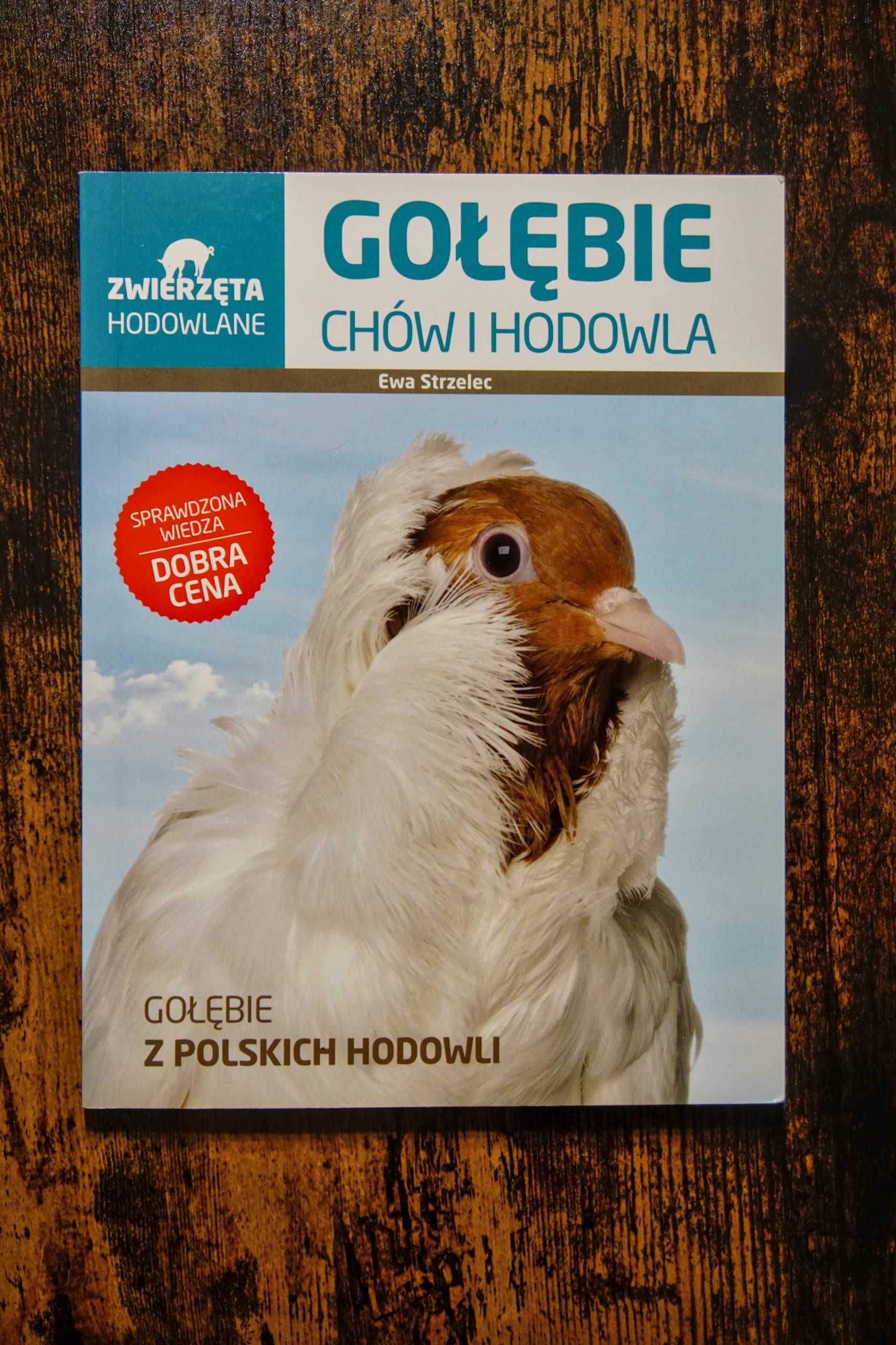 Gołębie Chów i hodowla Ewa Strzelec