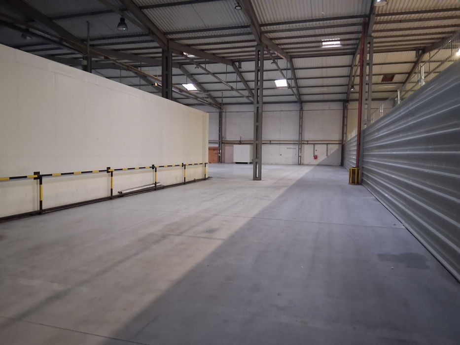 Magazyn Hala Piaseczno 1162 m2