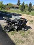 Pocket bike black pearl