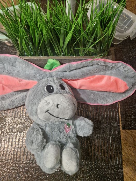 calmis Oddychający osiołek.