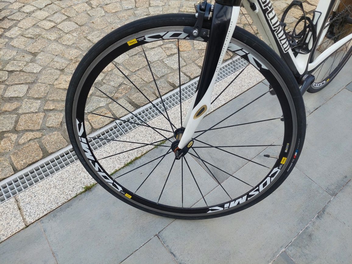 Specialized carbono