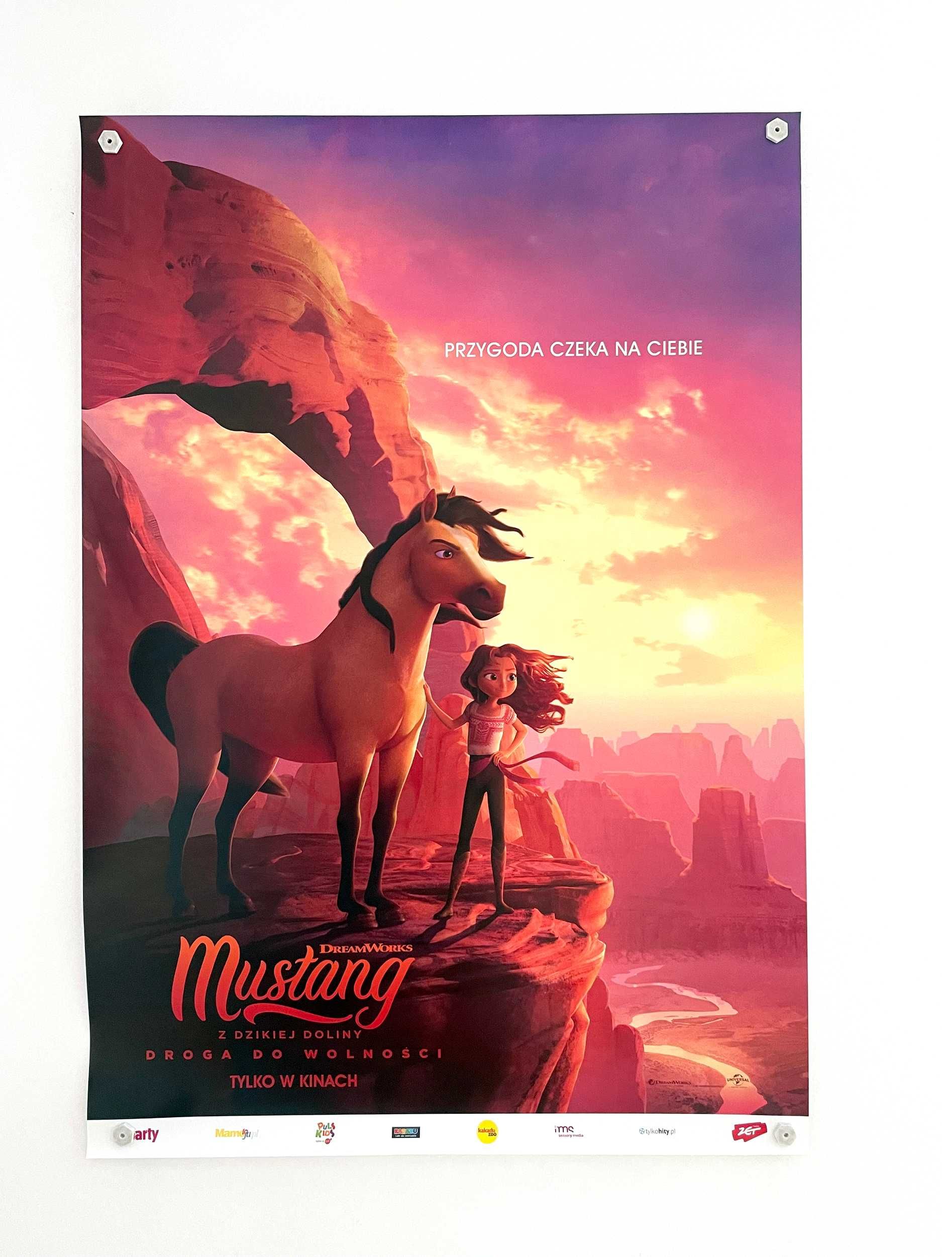 Mustang z dzikiej doliny / Plakat