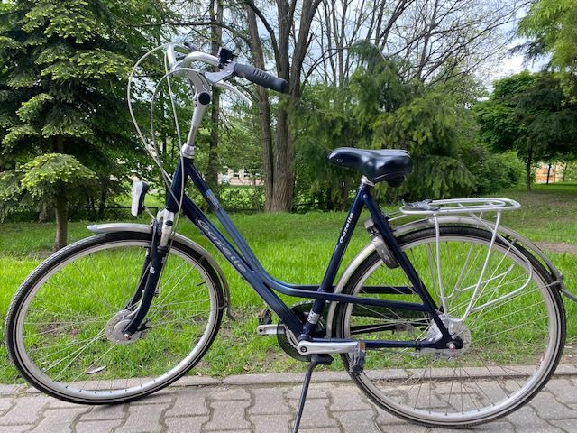 rower Gazelle Davos damka