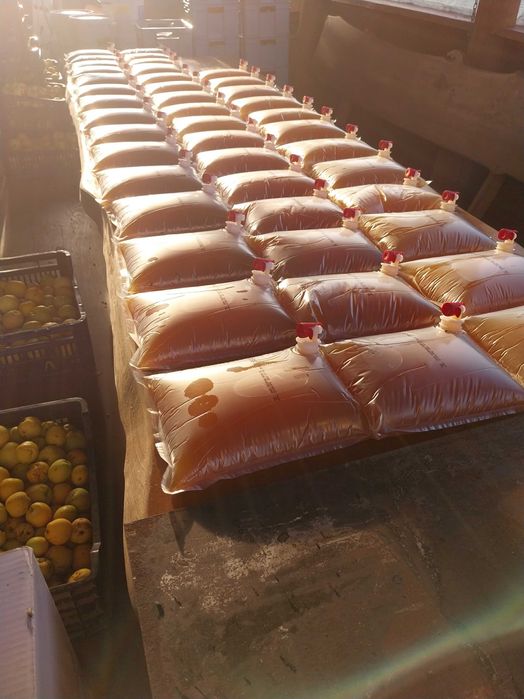 2 soki z pigwowca japońskiego ( 6 litrów )