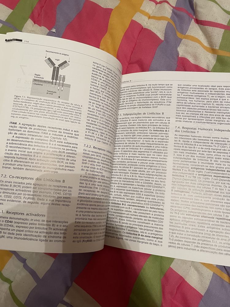 Fundamentos de Imunologia