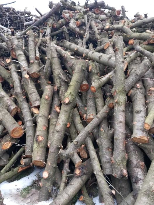 Sprzedam drewno opałowe suche sezonowane