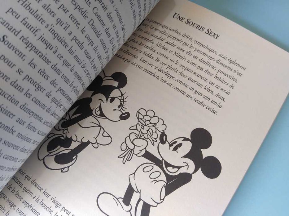Les Ames Dessinées : du Cartoon aux Mangas Paperback – Luca Raffaelli
