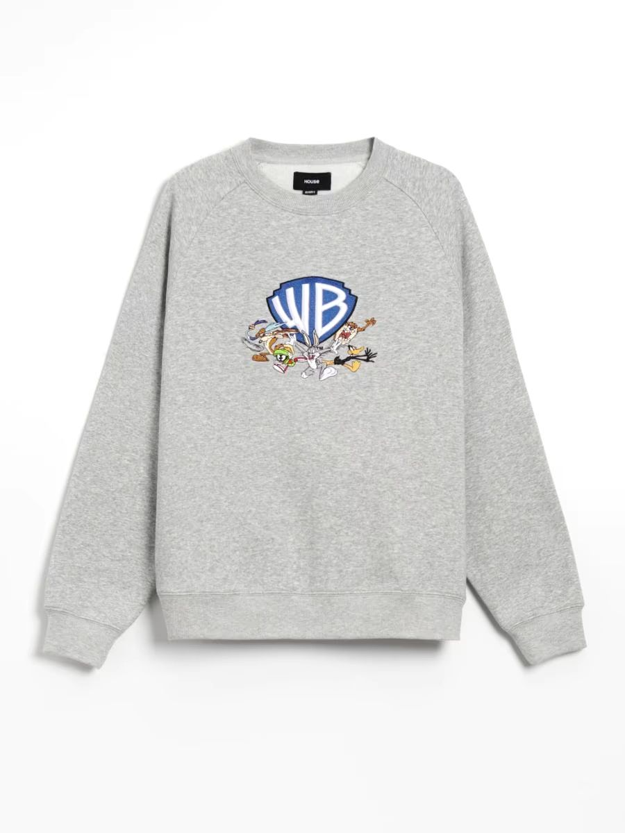 Толстовка с вышивкой Warner Bros, House Brand, ХЛ