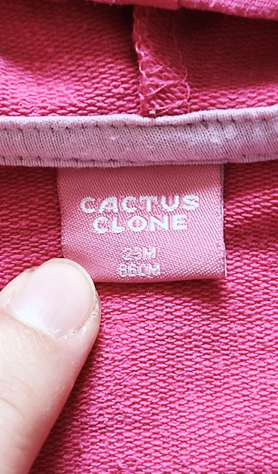 Cactus Clone różowa bluza z kotkiem r.86