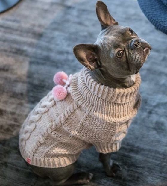 Sweterek ubranko welniane dla psa
