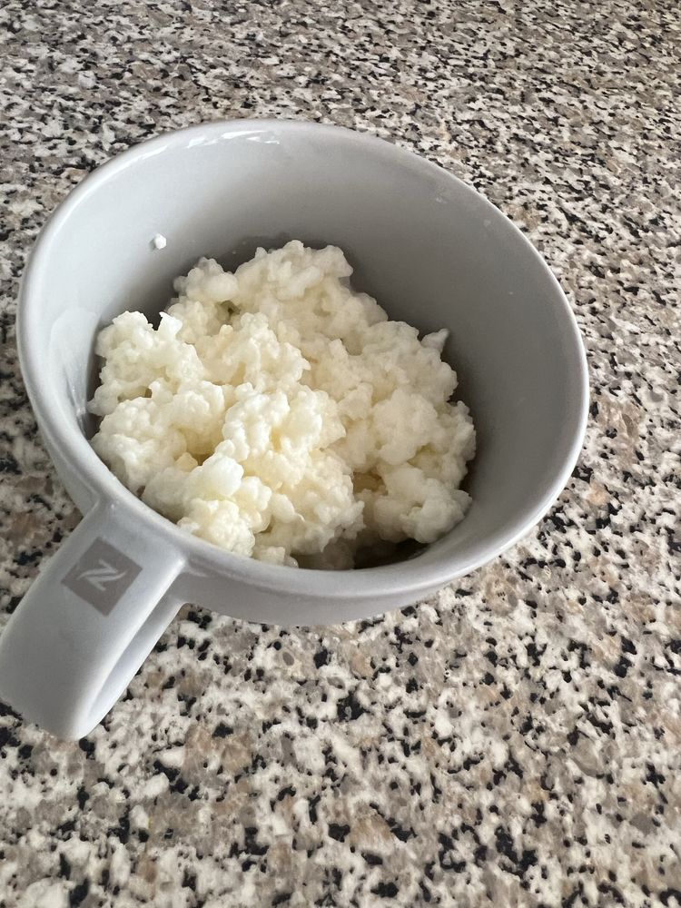 Kefir leite fermentado