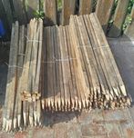 Paliki drewniane, paliki do pomidorów, fasolki 120,130cm