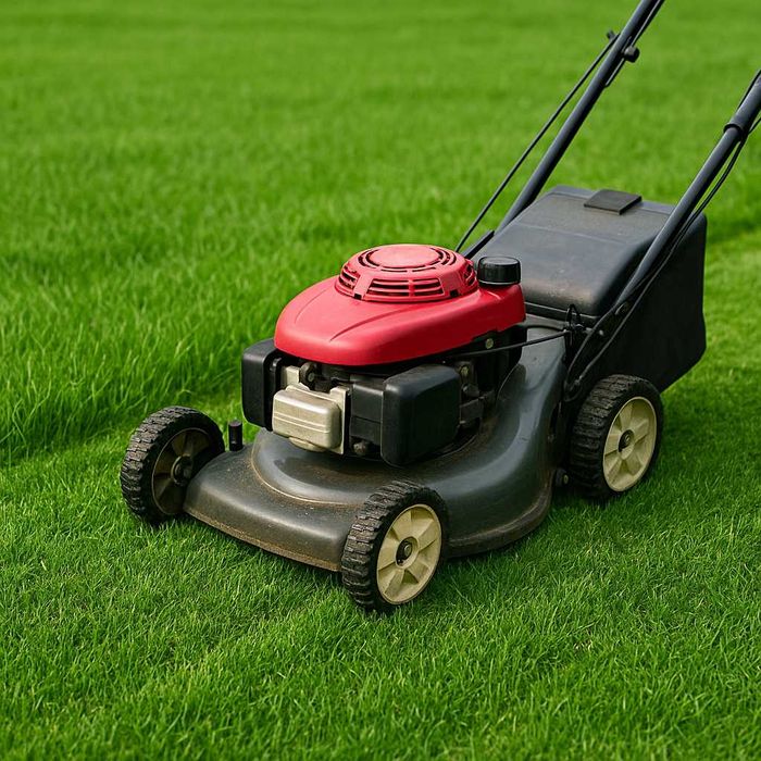 Koszenie trawy – solidnie, na czas, w dobrej cenie