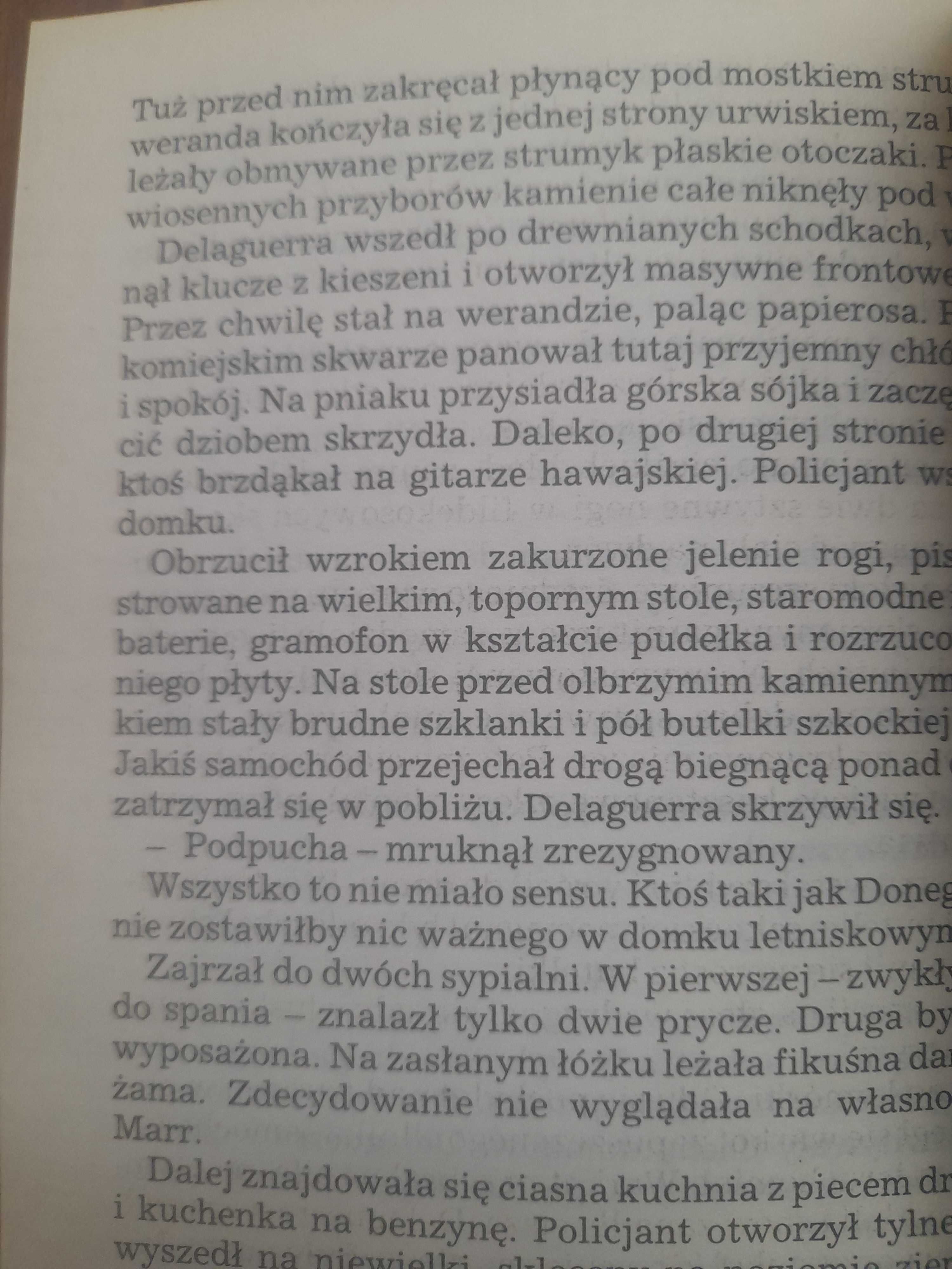 Czysta robota Raymond Chandler