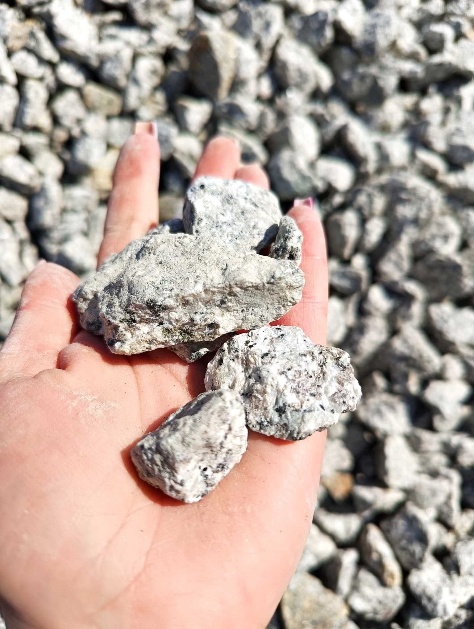 Kamienie ozdobne - grys granitowy dalmatyńczyk 16-30
