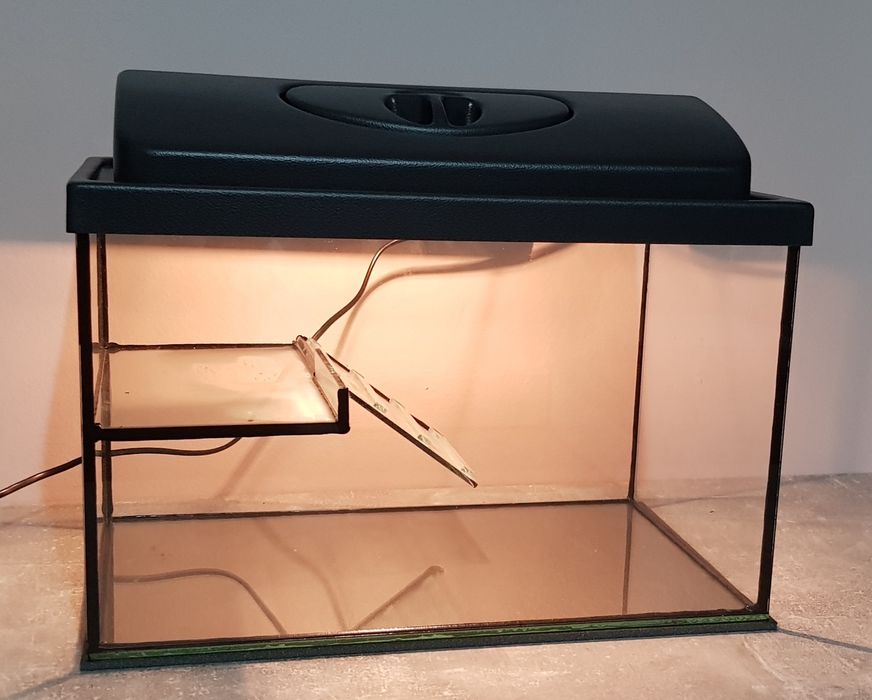Terrarium dla żółwia wodnego 40