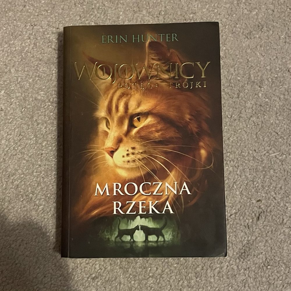 Wojownicy, Potęga trójki, Mroczna rzeka, tom 2