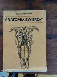Anatomia zwierząt Krysiak