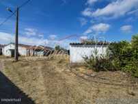 Quinta de 3,4ha com uma ruína de 59,4m2 na Estibeira - São Teotônio...