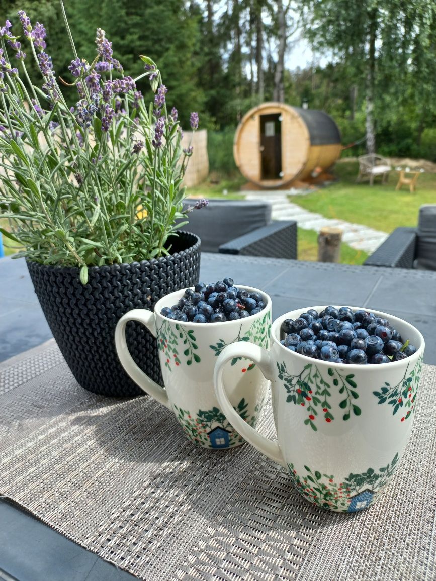 Wakacje w górach-Jagodowy Domek, sauna w cenie