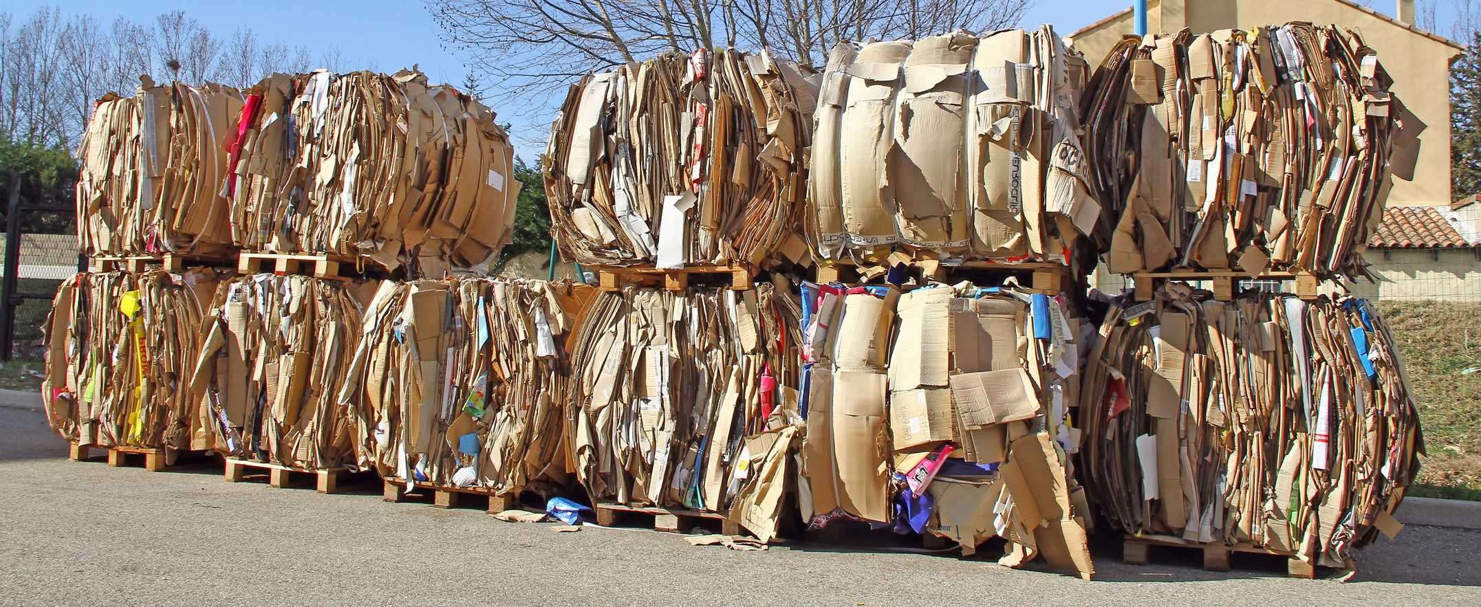 Skup i odbiór makulatury, folii, nakrętek, styropianu, plastików,palet