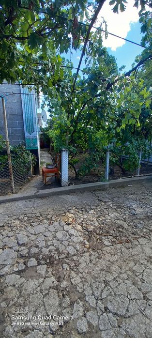 Продам будинок. село Дмитрівка Березанський район