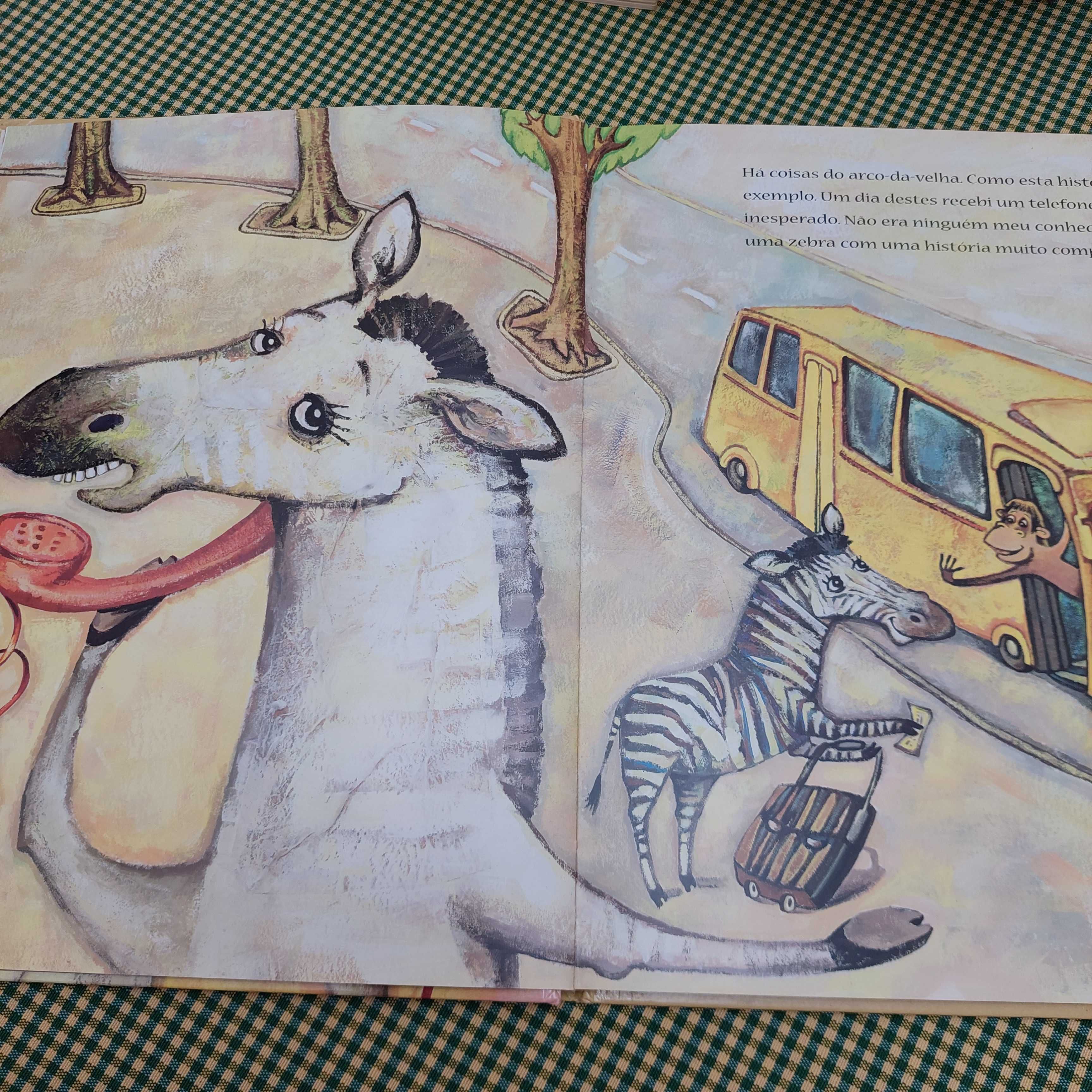 Uma zebra ao telefone, António Garcia Barreto