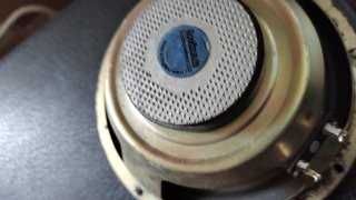 Głośniki GOODMENS 2szt.