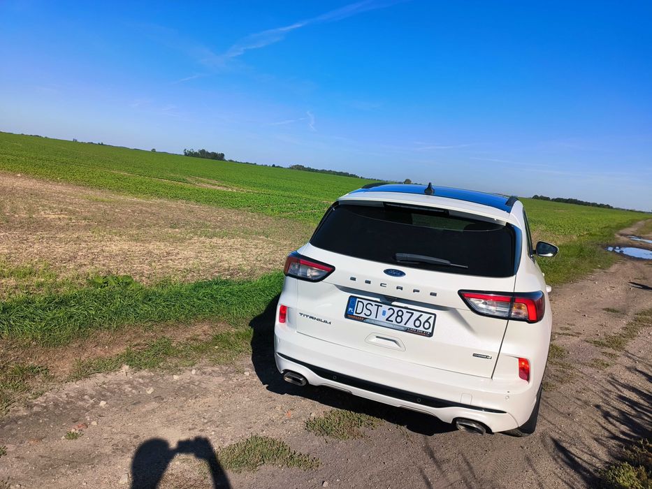 Escape/Kuga 2020r 2.5l FHEV TITANIUM ST-line, panorama, 12PDC, 2kamery