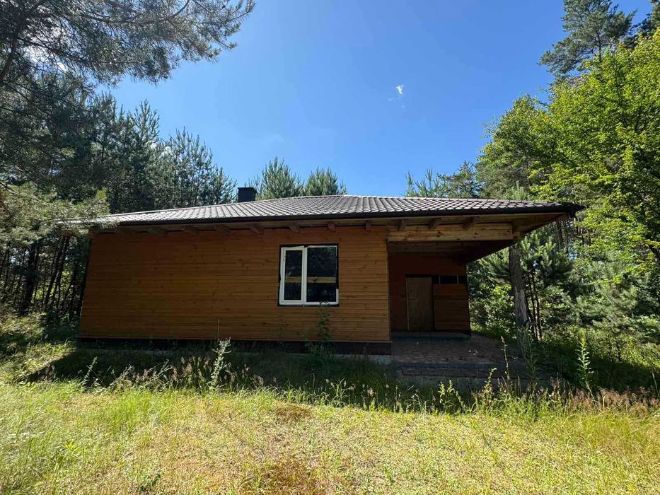 Будинок у сосновому лісі