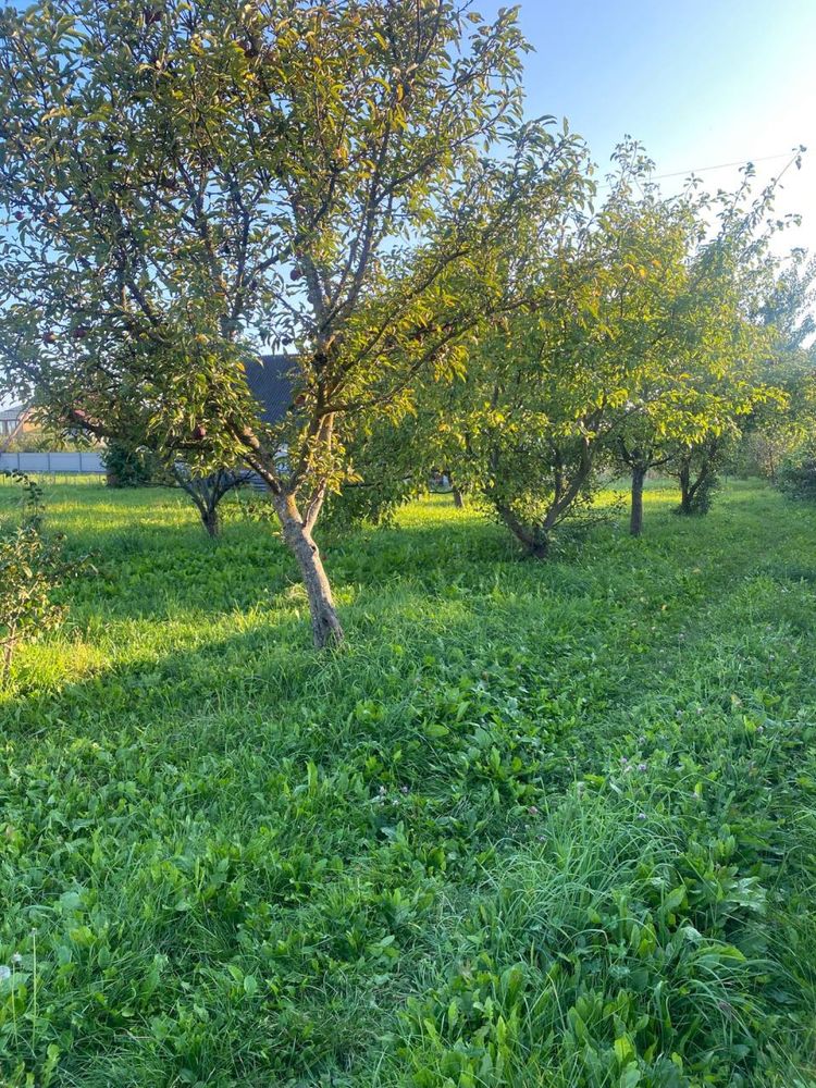 Земельна ділянка в селищі Ратне