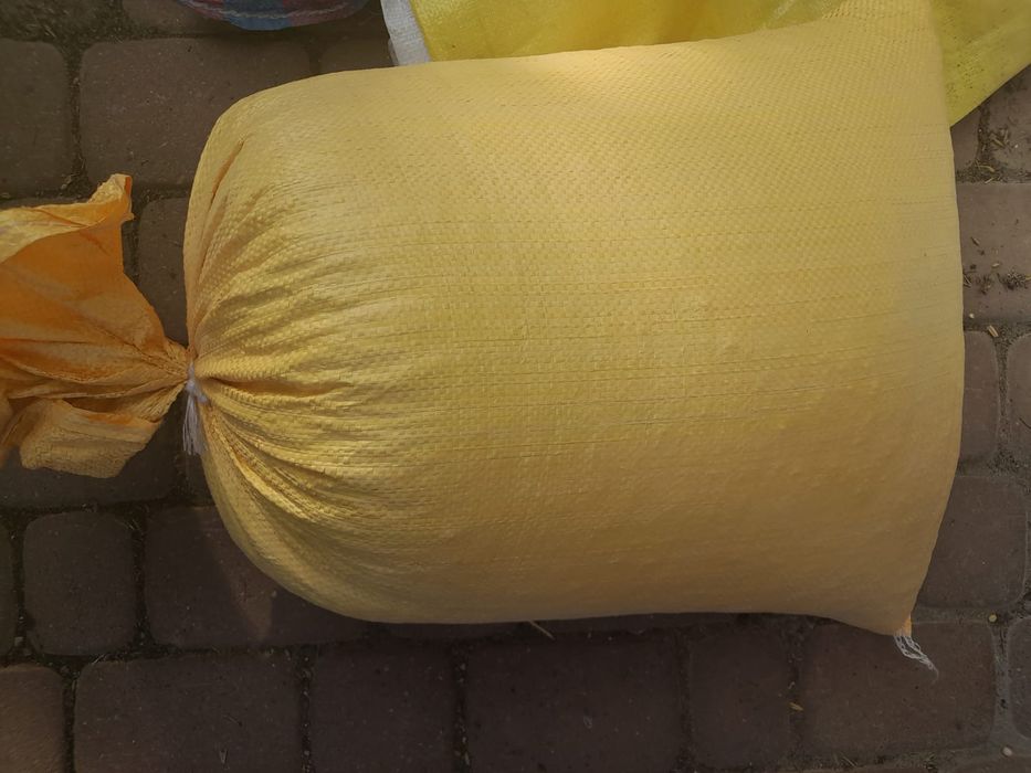 Groch z peluszka mieszska golebie.polon