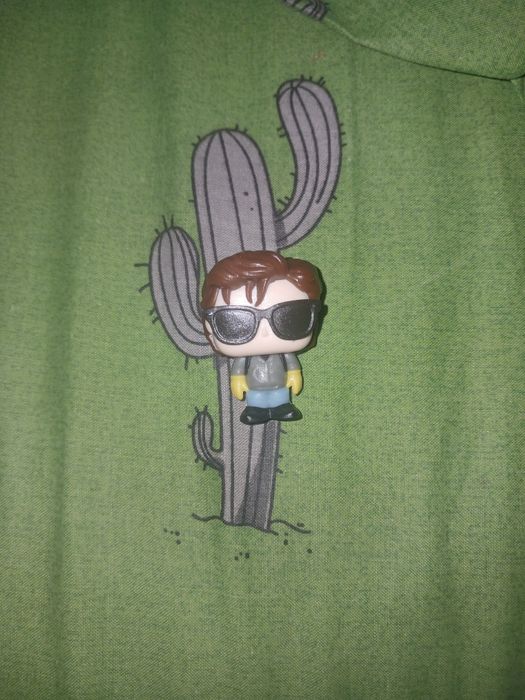 Kinder Стів звичайний