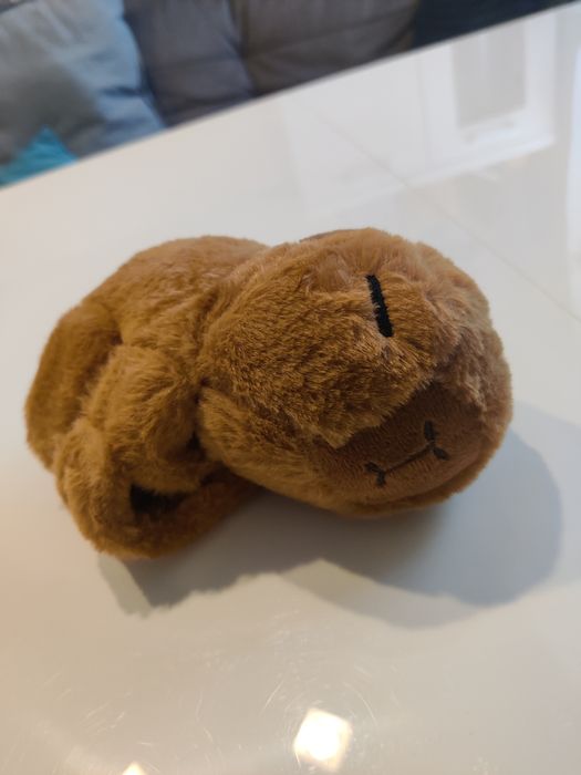 Maskotka, zabawka - Kapibara