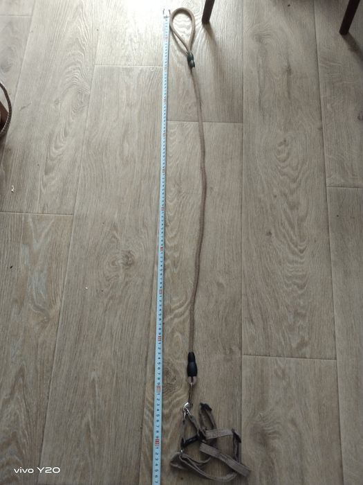 Шлейка, поводок для собак и котов