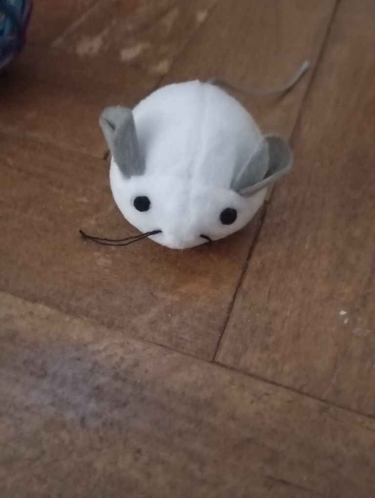 Brinquedos para animais