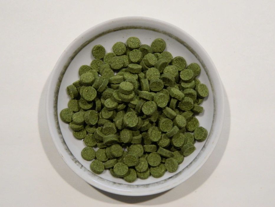 Корм для  Анциструсов, сомов, придонных рыб