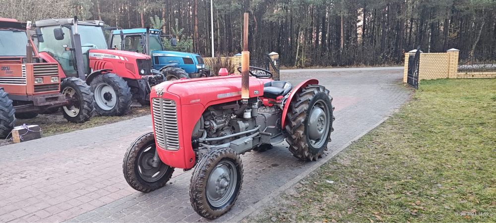 Massey Feguson 35 stan idealny kolekcjonerski sadowniczy