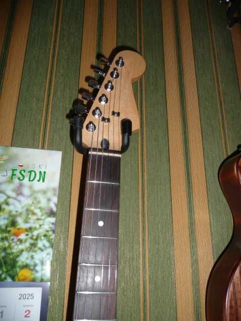 Gitara  elektryczna  w stylu  Heavy Relic