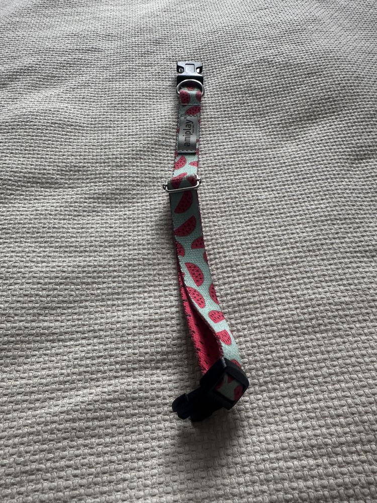 Obroza + smycz w arbuzy dla psa Amiplay
