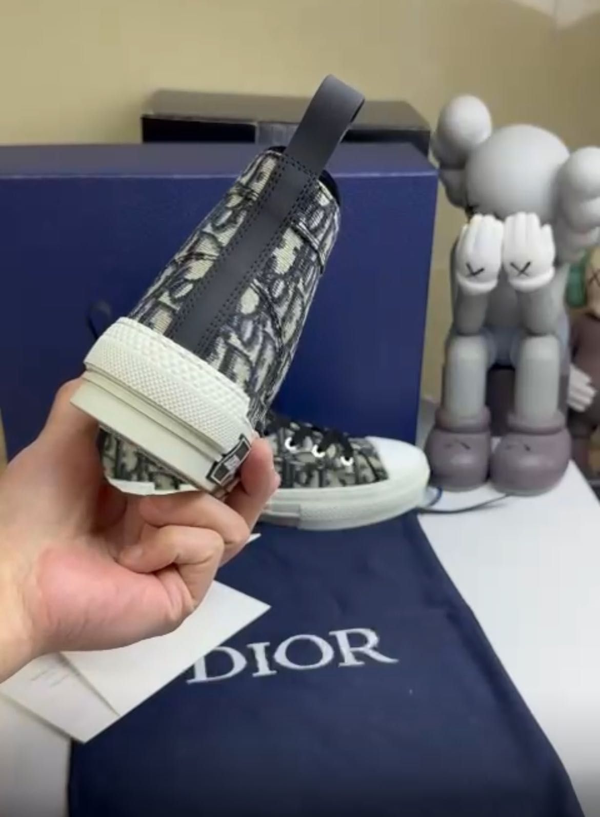 Dior B23 high top
