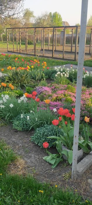 Продам дачу в місті р- н Лука,поряд житлові будинки,річка