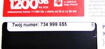 734 _ 999 _ 655 złoty prosty numer - złote proste numery