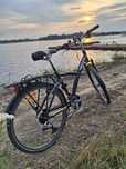 Rower bitwin original 5