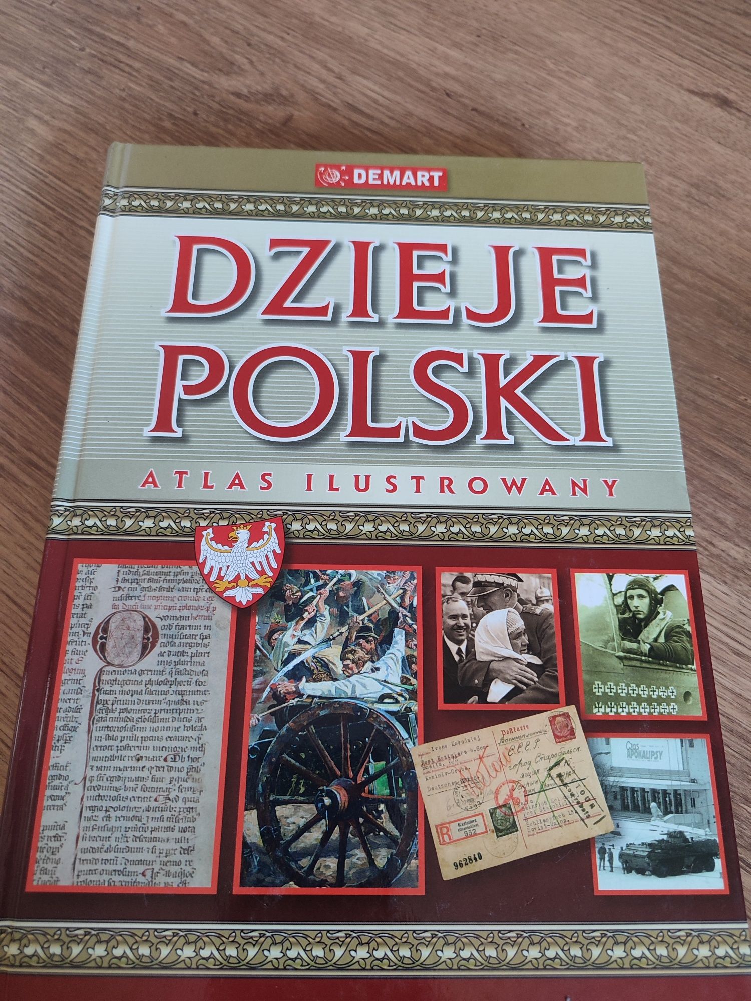 Dzieje Polski książka