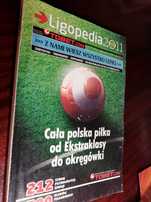 Ligopedia 2011. Miesięcznik o piłce nożnej.