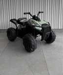 Дитячий Електричний квадроцикл Feber Boxer 12V